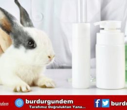 Kanada’da hayvan severleri sevindirecek düzenleme!
