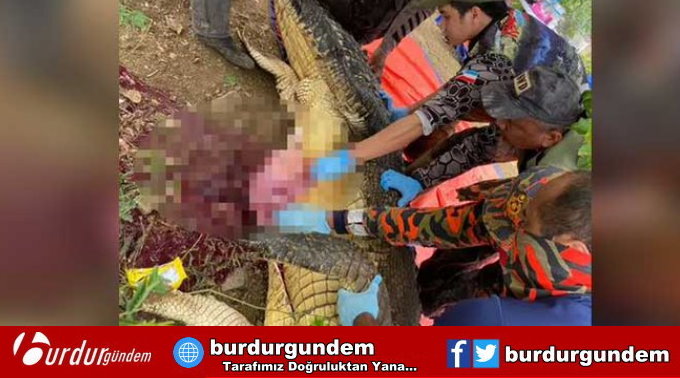 Günlerdir aranan çiftçi dev timsahın midesinden çıktı