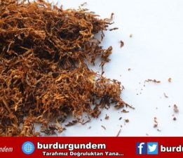 Sarma tütüne zam