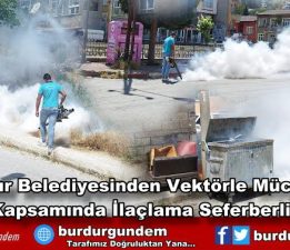 Vektörle Mücadele Kapsamında İlaçlama Seferberliği