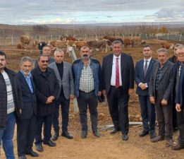 Ömer Fethi Gürer: “Hayvancılık sürdürülebilir olmaktan çıkıyor”