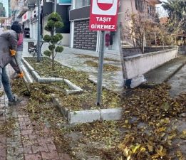 Sonbahar Temizliği Sürüyor