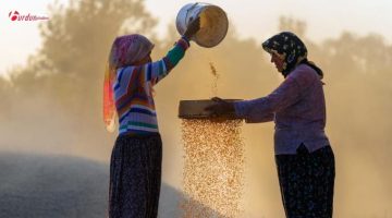 7. Antalya Yörük Çalıştayı başlıyor