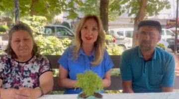 CHP’li Aylin Nazlıaka’dan, “zeytin nöbeti” tutan köylülere destek ziyareti