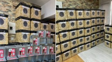 Patili Kalpler Sokak Canları Koruma ve Destek İnisiyatifi