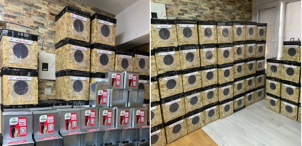 Patili Kalpler Sokak Canları Koruma ve Destek İnisiyatifi