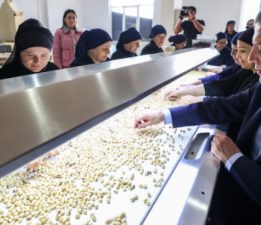 CHP Genel Başkanı Özgür Özel, Ordu’da Fındık Fabrikasını Ziyaret Etti