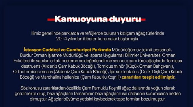 Burdur’da zararlı böcekler nedeniyle 6 kızılçam ağacı kesilecek