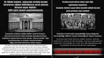 CHP Kadın Kolları’ndan İktidara Tepki ‘’Devlet Şiddeti Önleme Yükümlülüğü Yerine Getirmiyor!’’