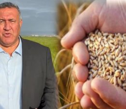CHP’li Gürer: “Toprak Mahsulleri Ofisi buğdayın alım fiyatını bir an önce açıklamalı”