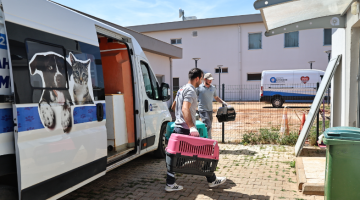 Büyükşehir’in hayvan ambulansı can dostların imdadına yetişiyor
